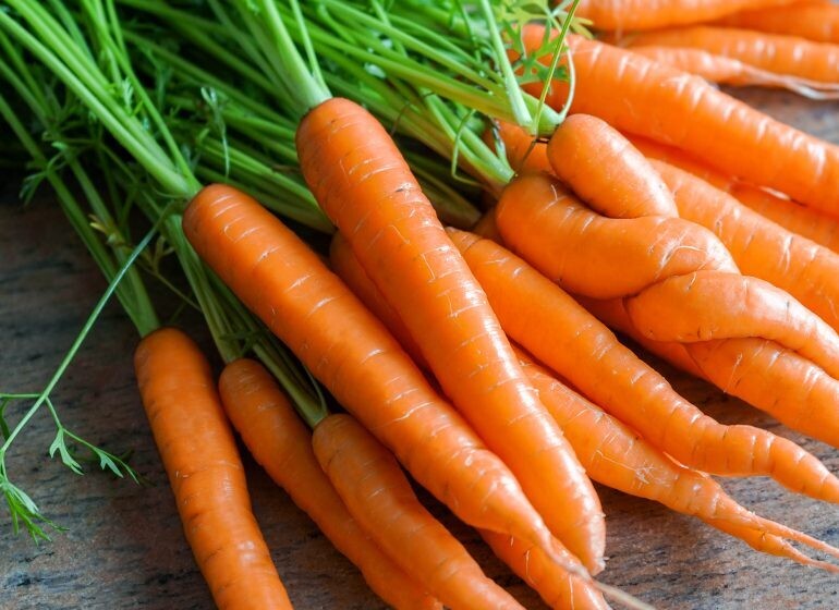 Carottes botte - EPICURIE