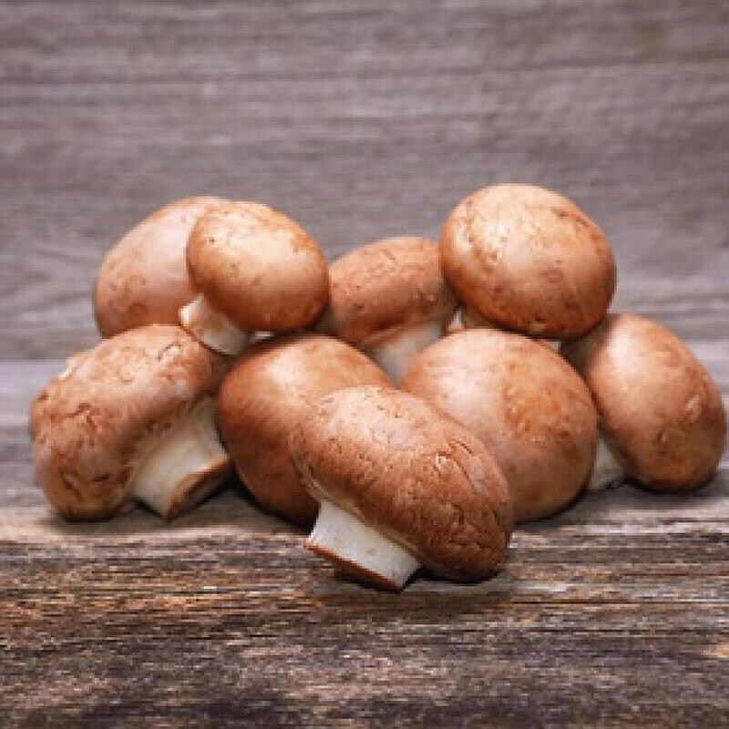 Champignons - BIO BE