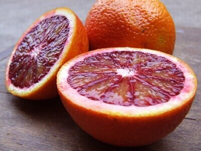 Oranges Moro - BIO ES