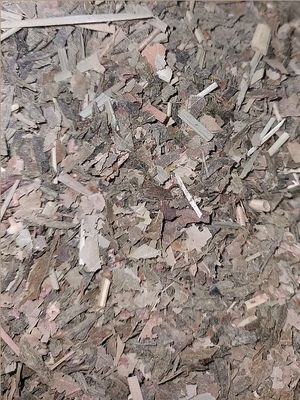 Pur thé -  THÉ DU BIEN ETRE