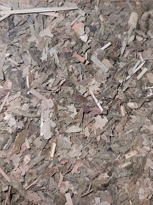 Pur thé -  THÉ DU BIEN ETRE