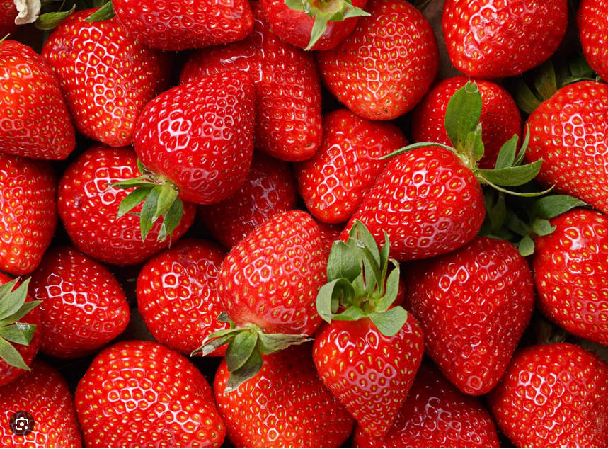 Fraises - EPICURIE