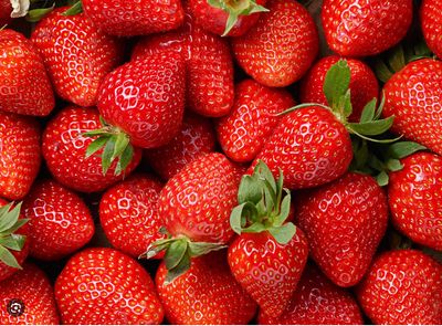 Fraises - EPICURIE