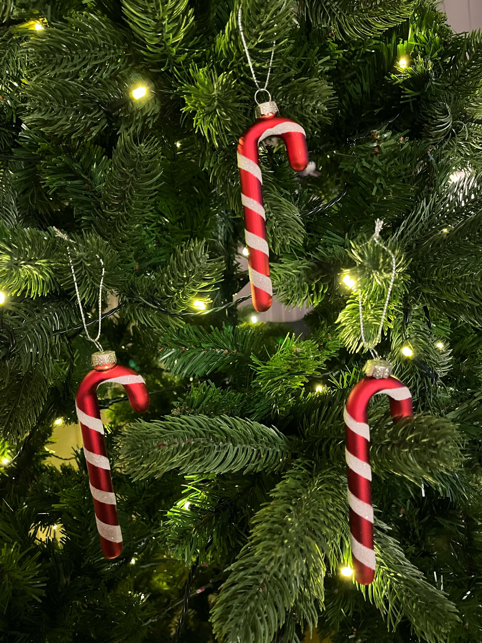 Polkastenger glass 3 pk