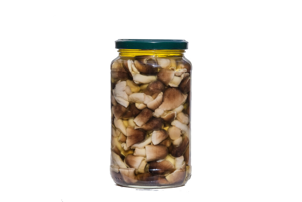 FUNGHI DI MUSCHIO SOTT'OLIO VASETTO DA 540 GR.