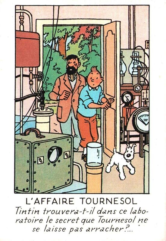 TINTIN - CARTE POSTALE
Quasi Neuf (9,5/10)
1984
HERGÉ/MOULINSART