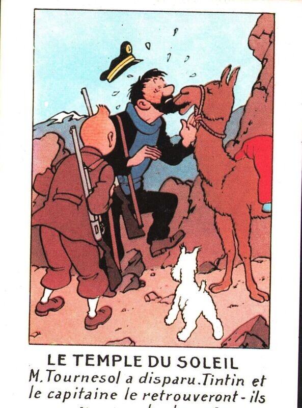 TINTIN - CARTE POSTALE
Quasi Neuf (9,5/10)
1984
HERGÉ/MOULINSART