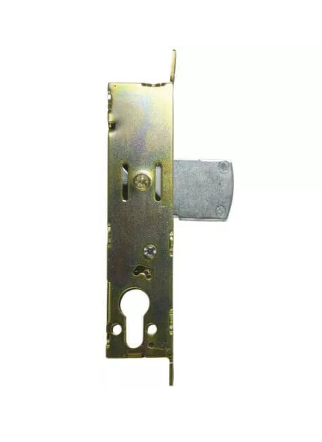 Alpro 5222 Euro Swing Deadbolt Case for Metal Doors