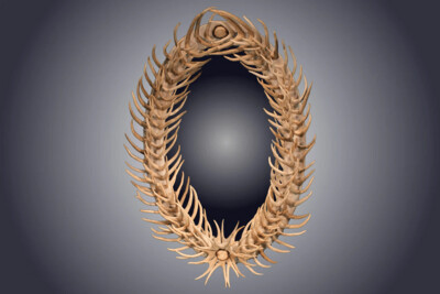 antler home decor