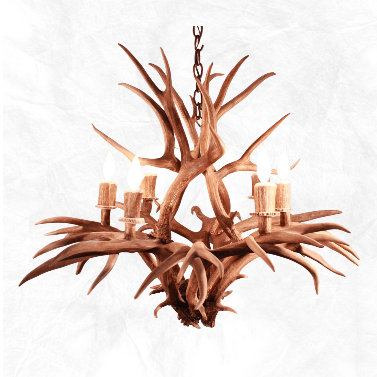6 Light Inverted Mule Deer Antler Chandelier how-to-measure-deer-antler-spread-deerlifespan