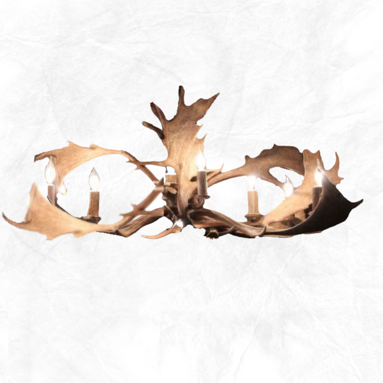 8 Light Elongated Fallow Antler Chandelier
