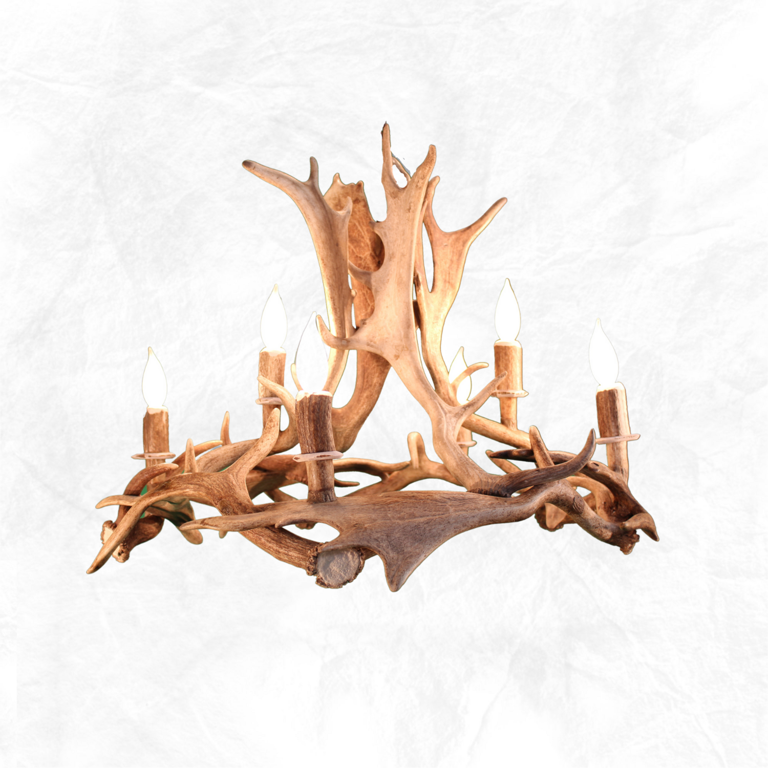 6 Light Fallow Ring Antler Chandelier