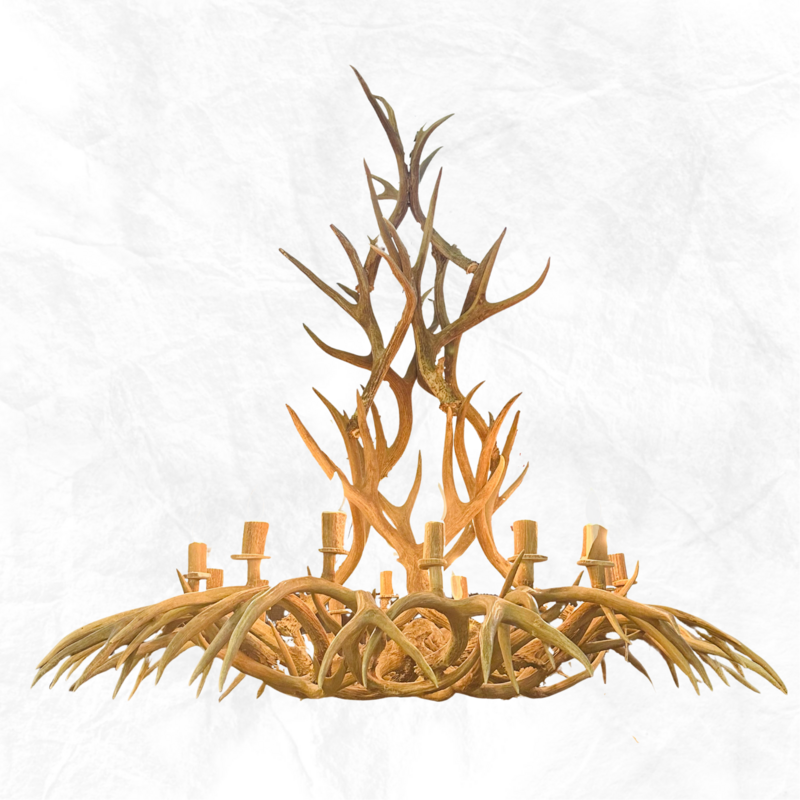 12 Light Mule Deer Chandelier