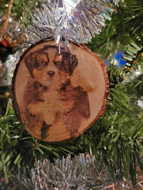 Custom Pet Ornament