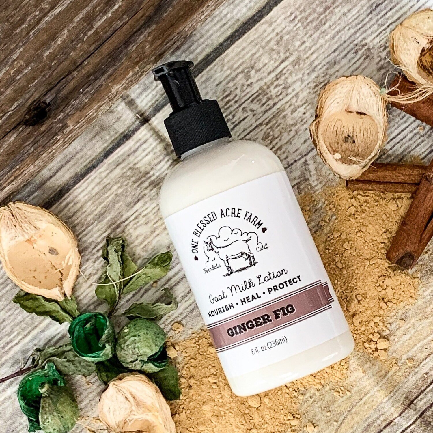 Ginger Fig Goat Milk Lotion for Hand and Body,