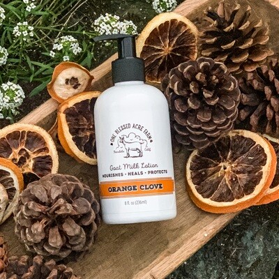 Orange Clove Goat Milk Lotion for Hand and Body