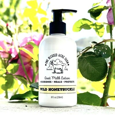 Everyday Hand & Body Lotion