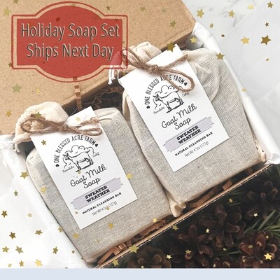 Soap Gift Set Christmas Soap Set of Two Goat Milk Soap Set Holiday Soap Box Personalized Goat Milk Soap Set Christmas Gift