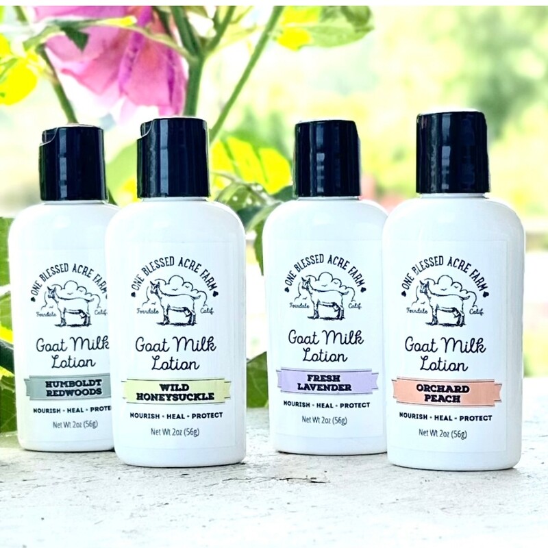 Bulk Goat Milk Lotion Hand Cream 2 oz. Travel Size Hand Cream For Dry Hands Bulk Goat Milk Lotion Hand Cream 2 oz. Travel Size Hand Cream For Dry Hands