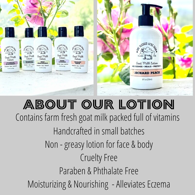 Goat Milk Lotion Travel Size Lotion Handmade Baby Lotion Gift For New Mom Gift For Teacher