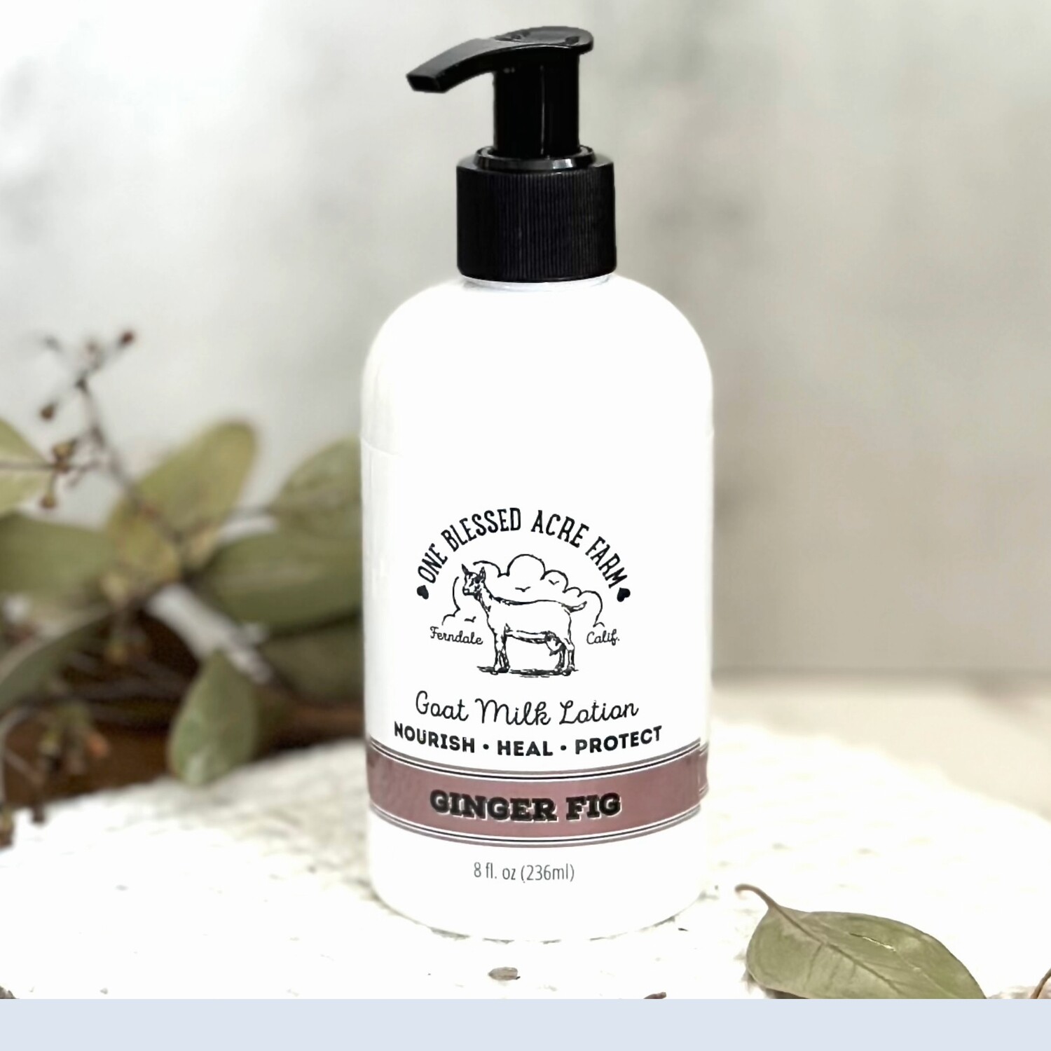 Ginger Fig Goat Milk Lotion Hand Cream Body Lotion