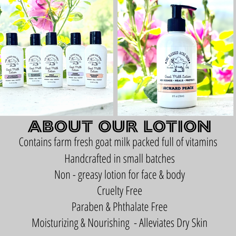 Coastal Mist Goat Milk Lotion for Hand and Body