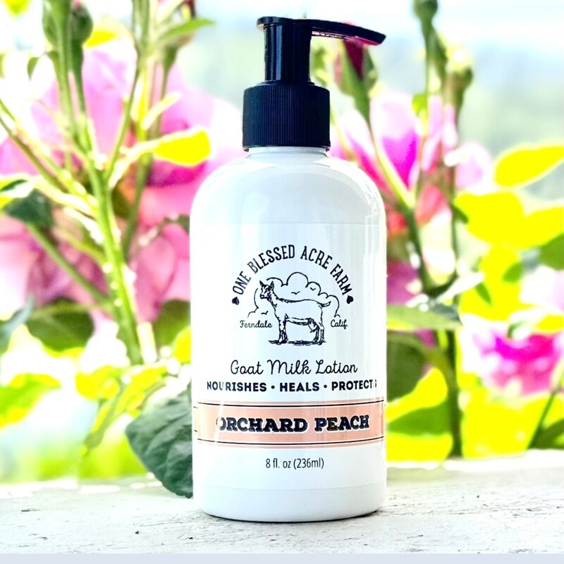 Orchard Peach Goat Milk Lotion Hand & Body Lotion Summer Skincare Essential Goat Milk Lotion Natural Moisturizing Formula Fresh Farm Created Beauty Solution Perfect Hand Treatment Sweet Almond Oil Blend Perfect Mom Gift Natural Ingredients Pure Farm Fresh Eight Ounce Pump Dispenser