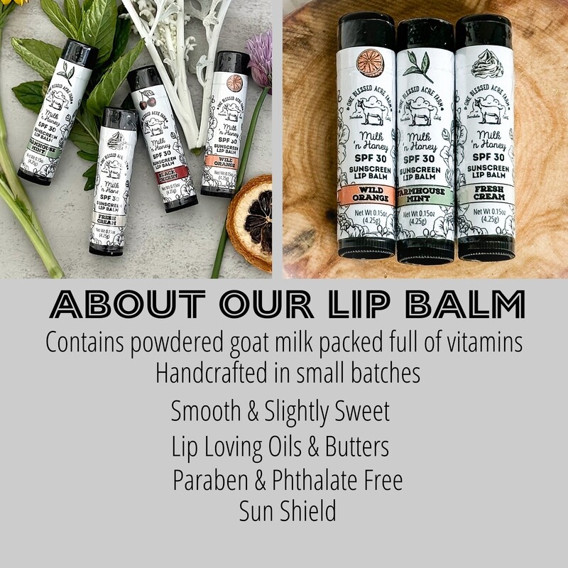 Milk & Honey Lip Balm, Travel or Purse Size, Wedding Favors, Baby Shower Favors, Gift Ideas