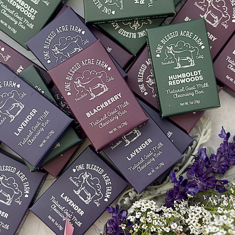 AirBnB Hospitality Soaps, Travel Size Soap, Guest Soap, Mini Soap Bars