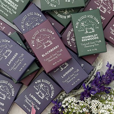 AirBnB Hospitality Soaps, Travel Size Soap, Guest Soap, Mini Soap Bars