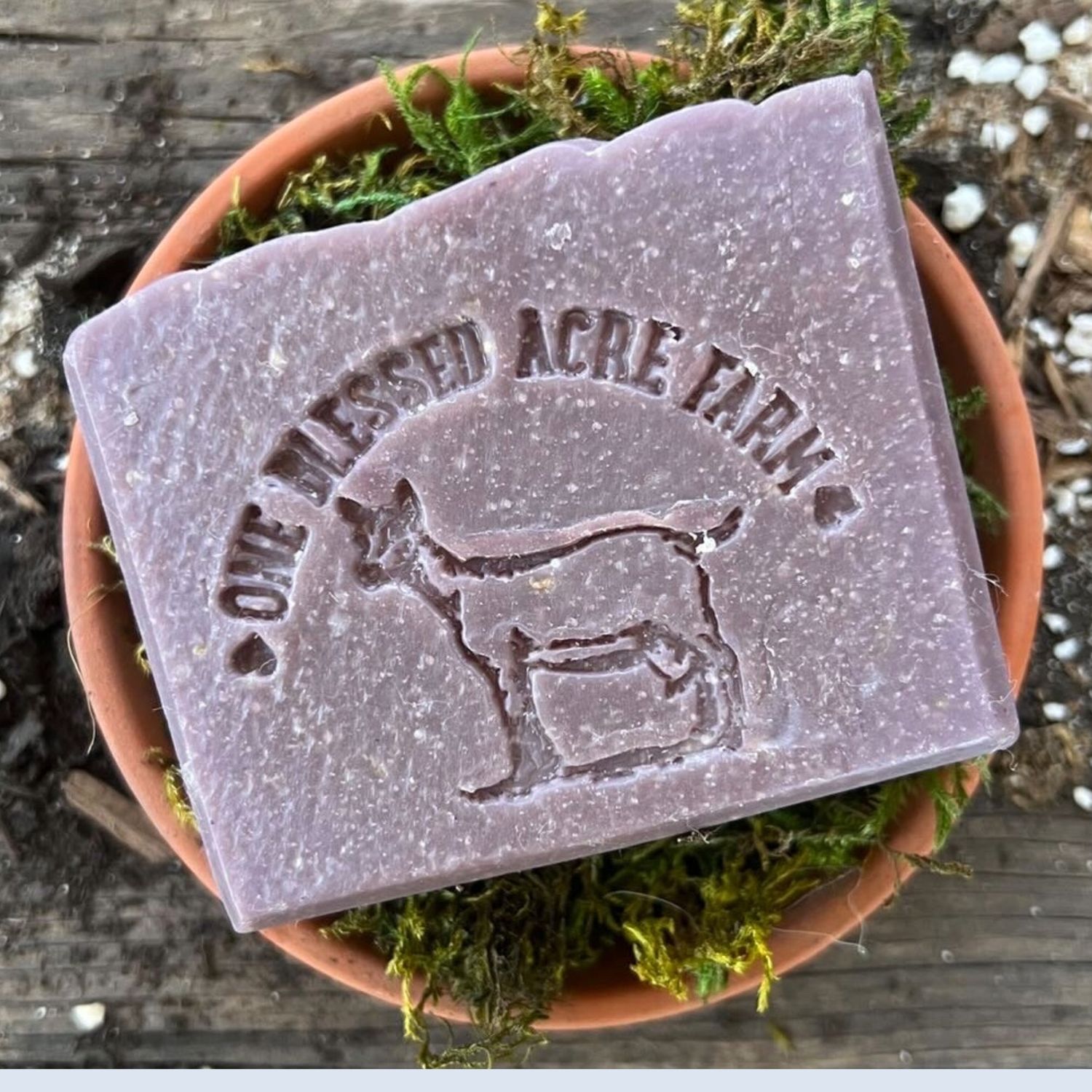 Ginger Fig Goat Milk Bar Soap Bar Soap