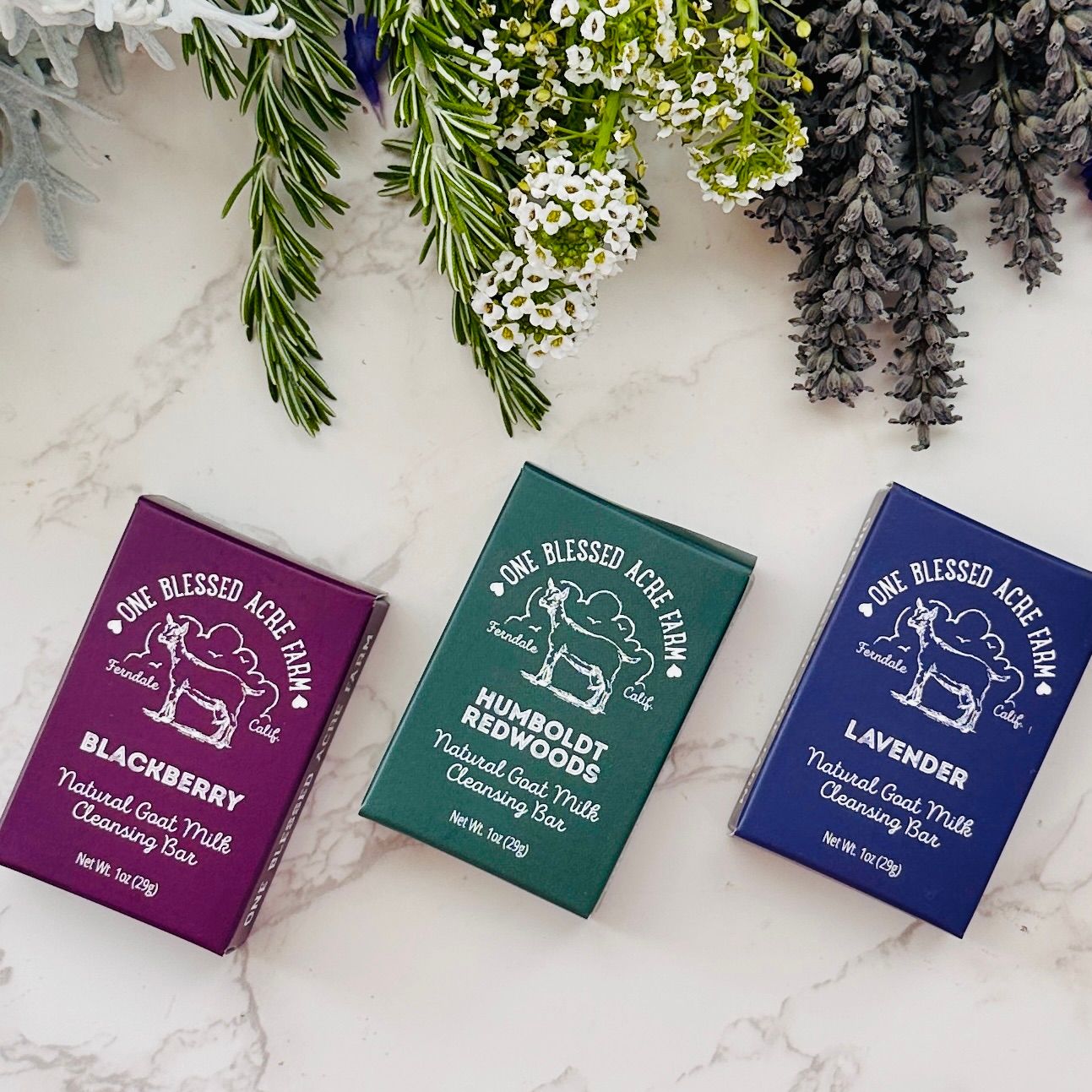 AirBnB Hospitality Soaps, Travel Size Soap, Guest Soap, Mini Soap Bars