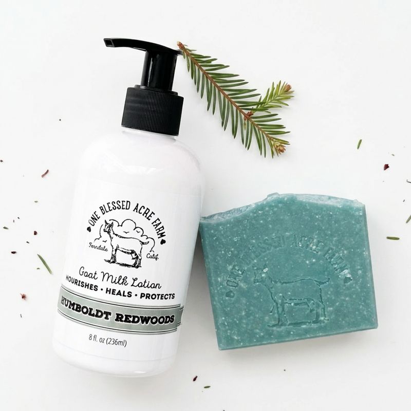 Luxury goat milk lotion for men and women with redwood forest inspired scent