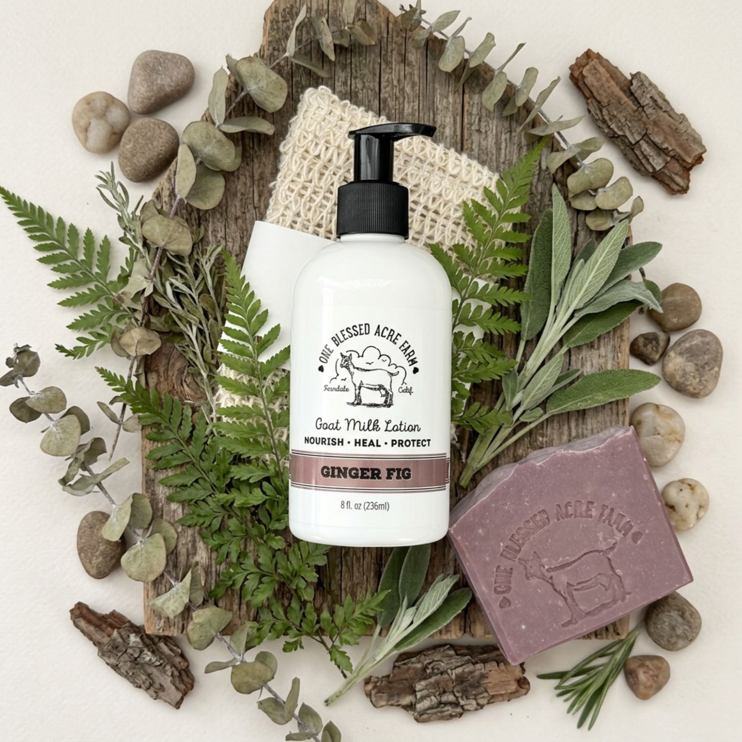 Ginger Fig Goat Milk Lotion Hand Cream Body Lotion Ginger Fig Goat Milk Lotion Hand Cream Body Lotion