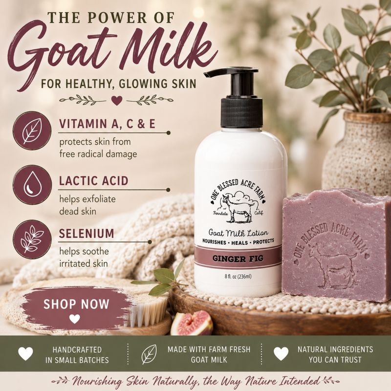 Ginger Fig Goat Milk Lotion Hand Cream Body Lotion