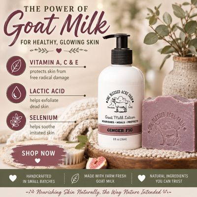 Ginger Fig Goat Milk Lotion Hand Cream Body Lotion