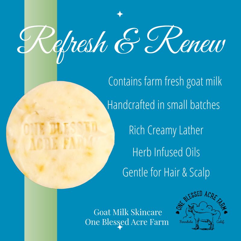 Goat Milk Shampoo Bar Herbal Infused Hair Soap Normal to Oily Hair