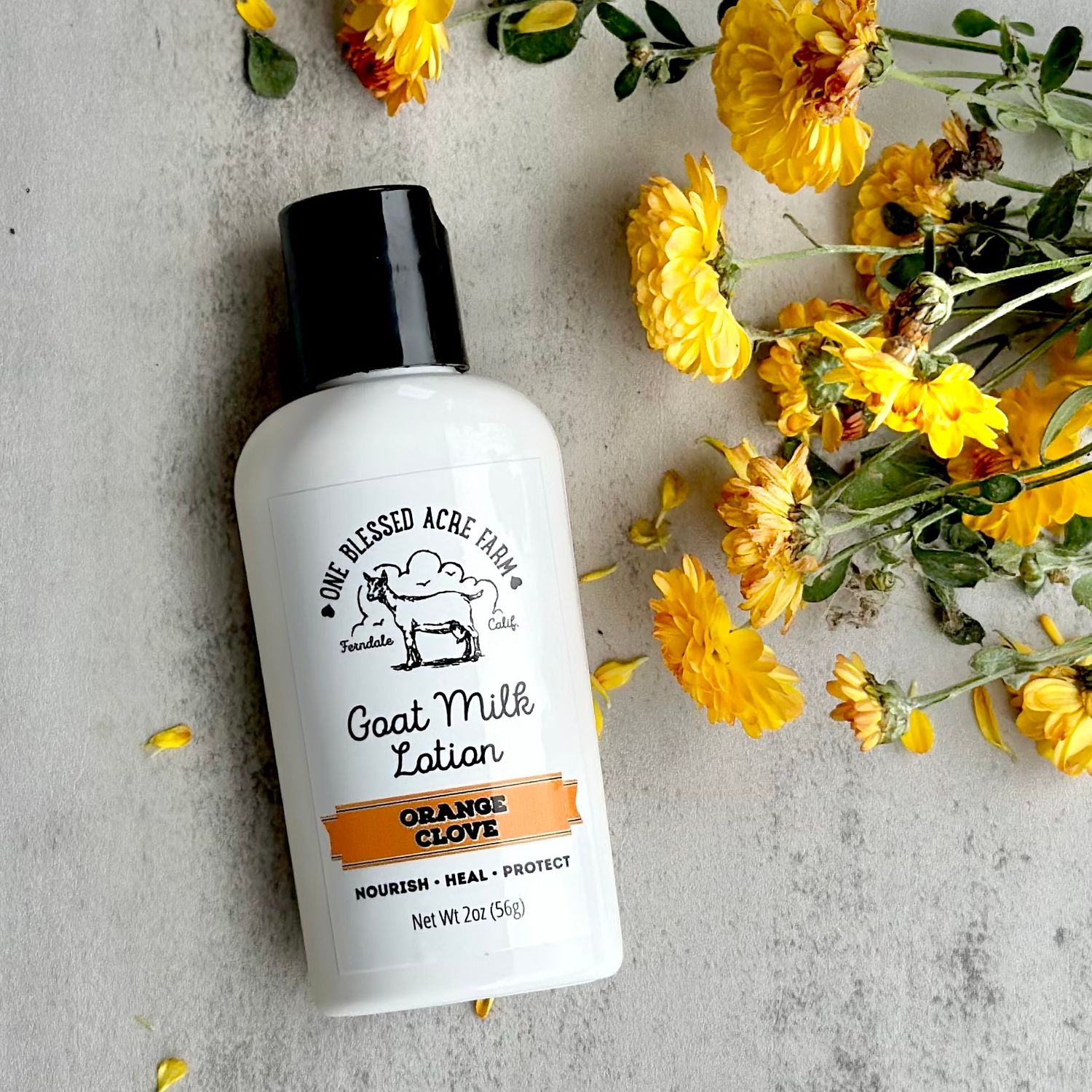 Orange Clove Goat Milk Lotion for Hand and Body, Lotion + Soap Sets: Single 2 ounce Lotion, Add Ons: No Add Ons