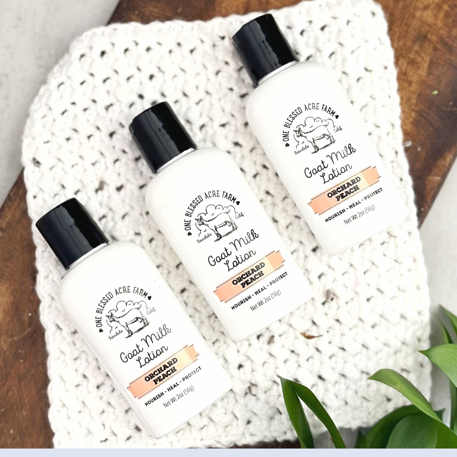 Orchard Peach Goat Milk Hand & Body Lotion Orchard Peach Goat Milk Hand & Body Lotion, Lotion + Soap Sets: Single 2 ounce lotion, Add ons to create gift sets: No Add Ons