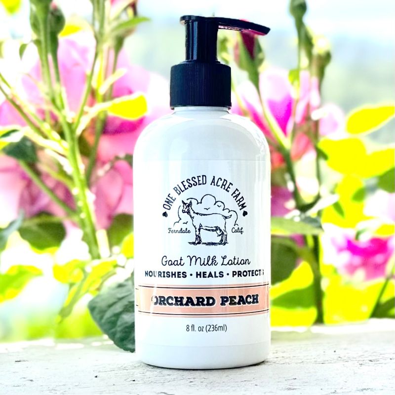Orchard Peach Goat Milk Hand & Body Lotion