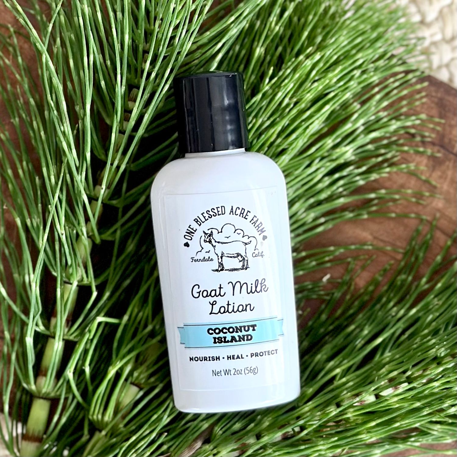 Coconut Island Goat Milk Lotion Hand Cream Body Lotion, Lotion & Soap Sets: Single 2 ounce lotion, Add ons: No Add Ons