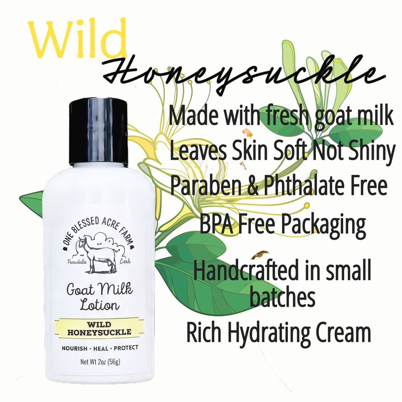 Wild Honeysuckle Goat Milk Lotion