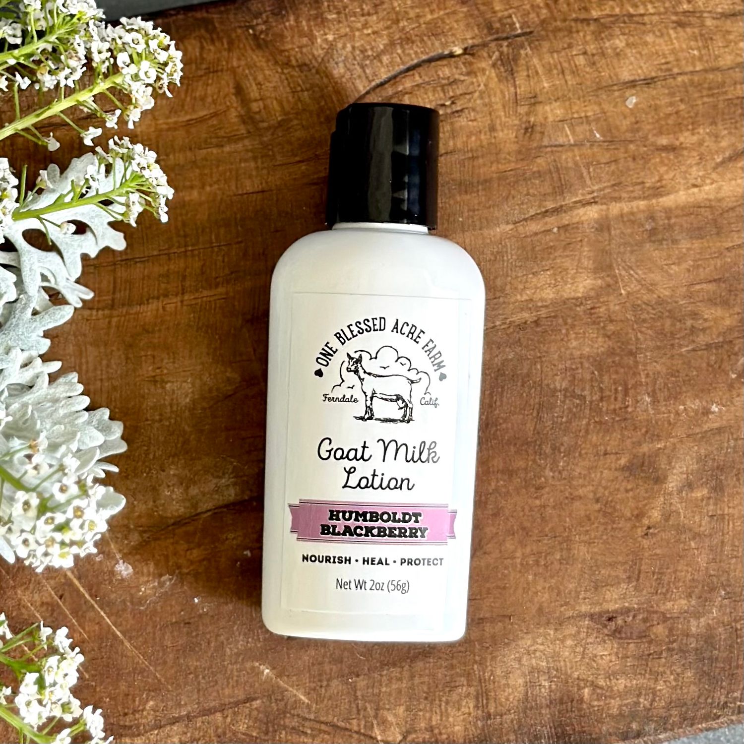 Humboldt Blackberry Goat Milk Hand and Body Lotion - 2 & 8 ounce Humboldt Blackberry Goat Milk Hand and Body Lotion - 2 & 8 ounce, Lotion & Soap Bar: 2 ounce lotion, Add on For Gift Set: No Add ons