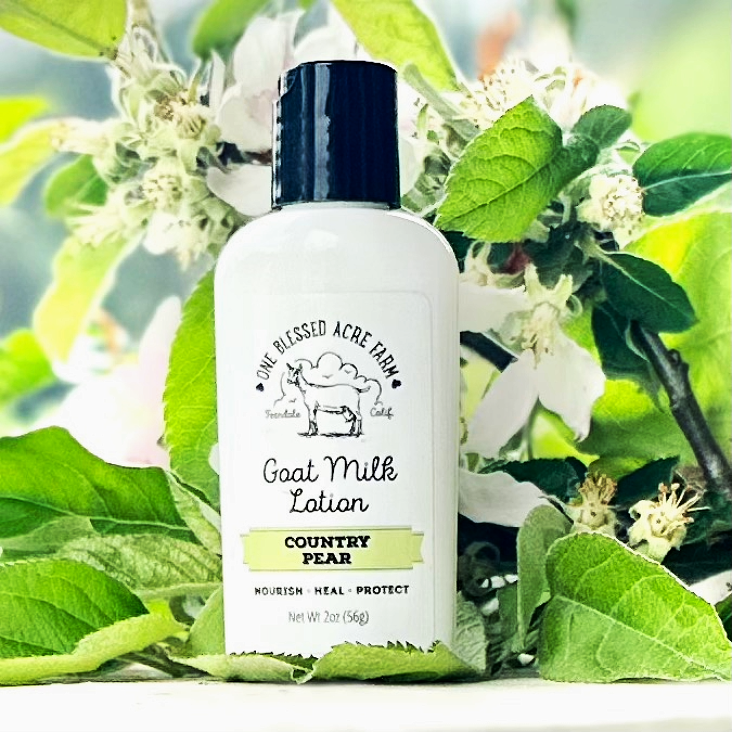 Country Pear Goat Milk Lotion for Hand and Body - 2 and 8 ounce Country Pear Goat Milk Lotion for Hand and Body - 2 and 8 ounce, Lotion & Soap Sets: Single 2 ounce lotion, Add Ons to Create Gift Sets: No Add Ons