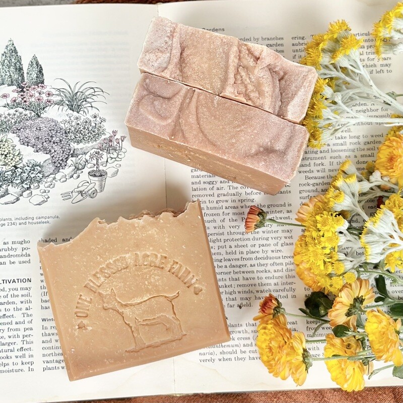 Apple Cider Goat Milk Bar Soap, Natural Cleansing Bar