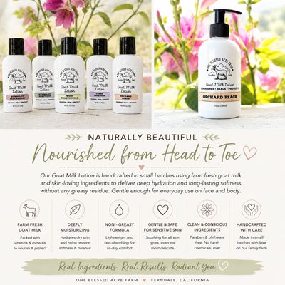 Sweater Weather Goat Milk Lotion for Hand and Body