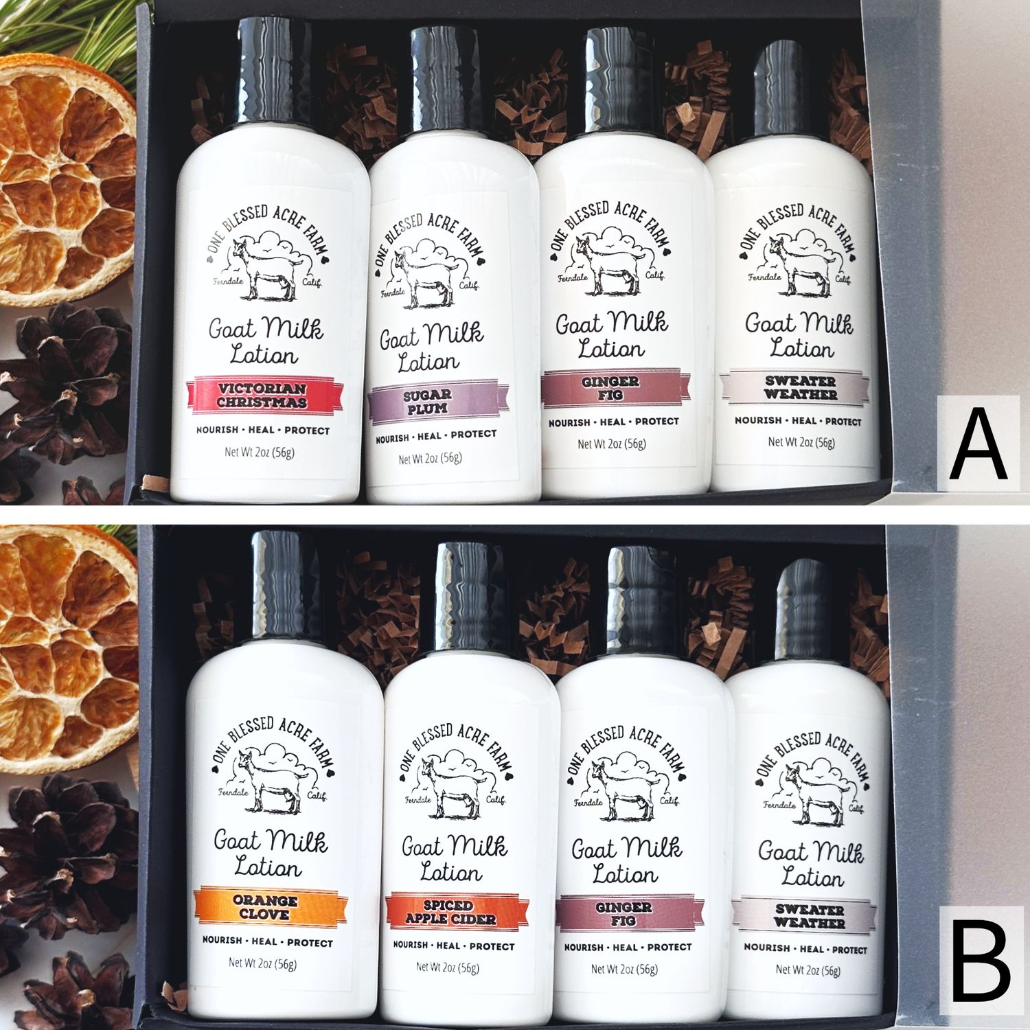 Holiday Lotion Gift Set of 4 Lotion Sampler Set Holiday Lotion Gift Set of 4 Lotion Sampler Set, Choose Set: Set A