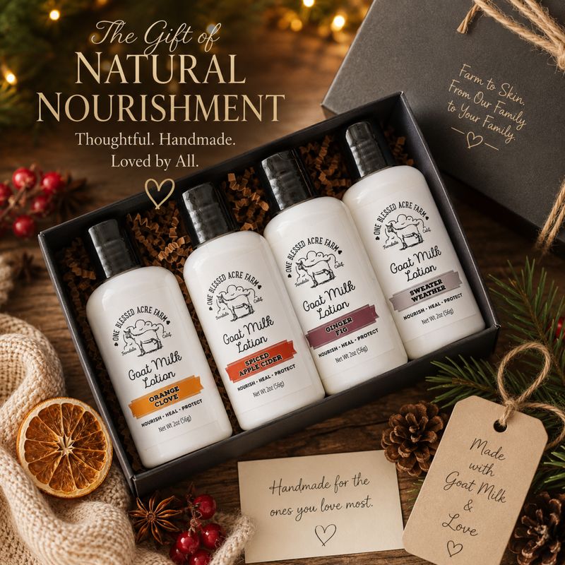 Holiday Lotion Gift Set of 4 Lotion Sampler Set