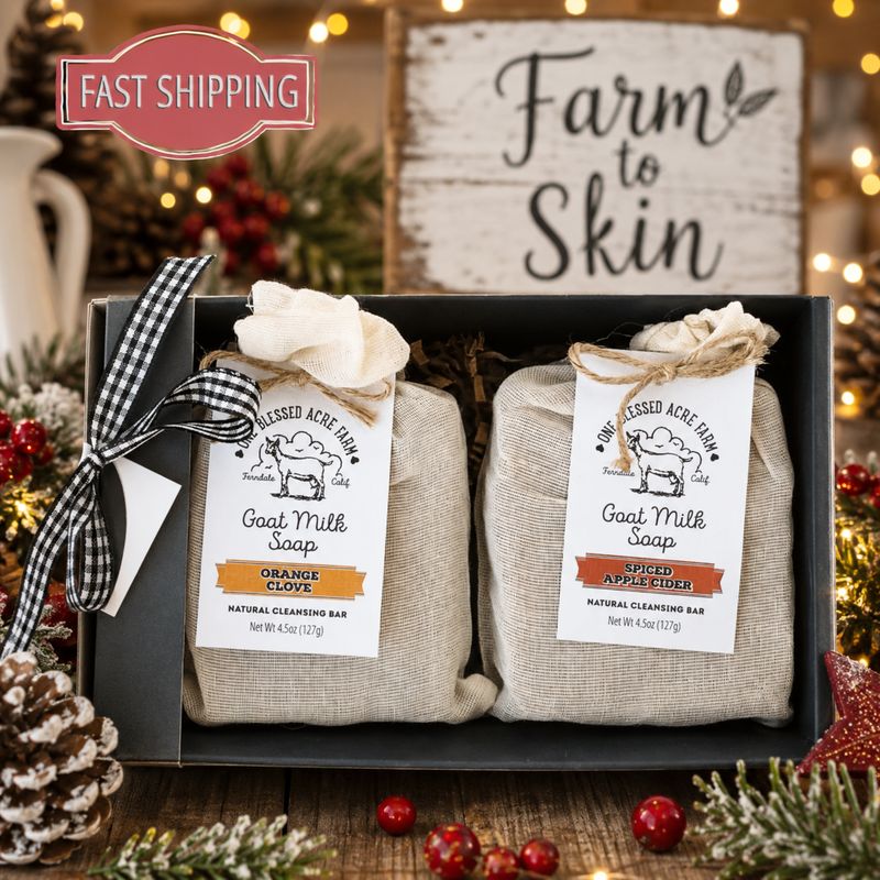 Christmas Soap Bundle Gift Set, 2 Soap Set