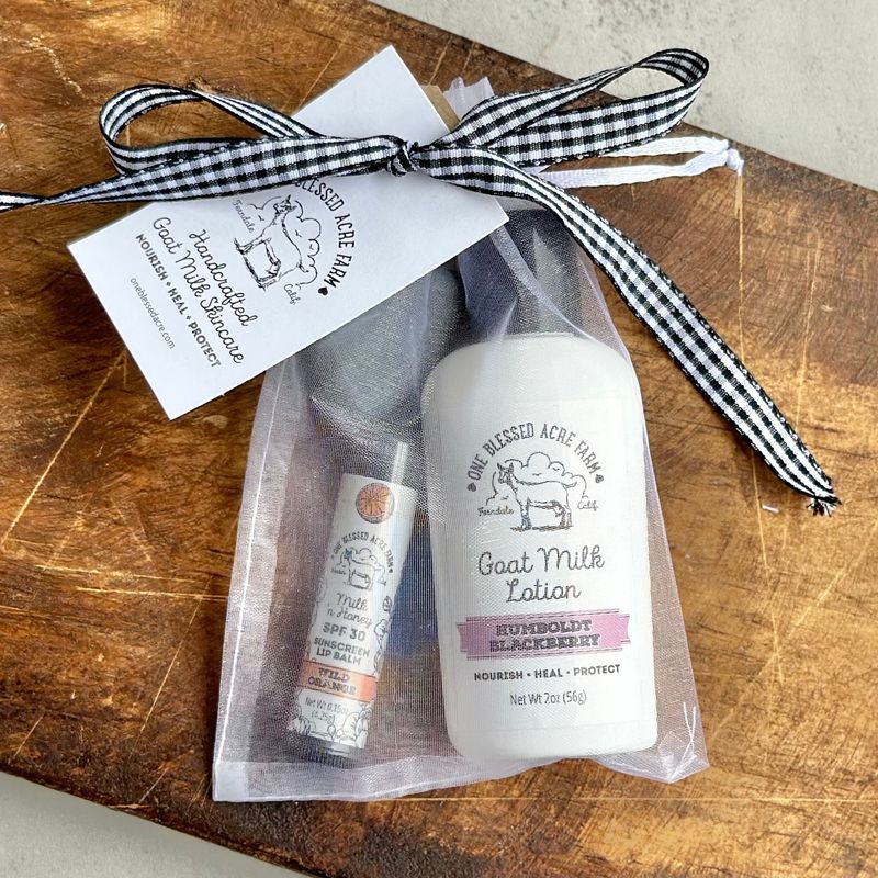Lotion And Lip Balm Gift Set